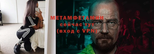 ГАЛЛЮЦИНОГЕННЫЕ ГРИБЫ Костерёво