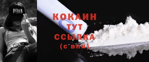 ГАЛЛЮЦИНОГЕННЫЕ ГРИБЫ Костерёво