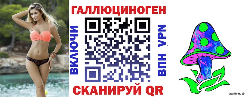 Купить где Шумиха Галлюциногенные грибы мицелий